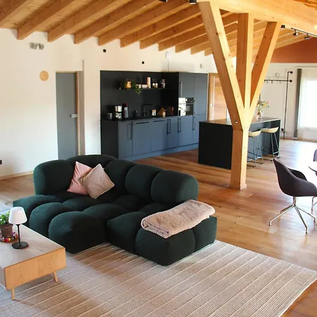 200qm Luxusloft Mit Sauna Und Schwimmteich! 公寓